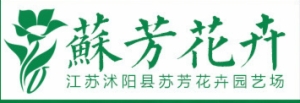 苏芳花卉