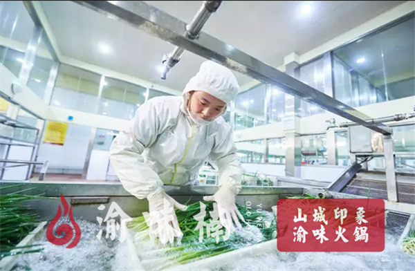 火锅加盟好还是自己开好？专业品牌会有意想不到的收获