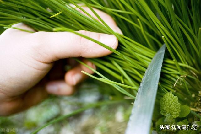 加盟奶茶怎么防止被坑(开奶茶店的大坑为什么这么多) 加盟奶茶怎么防止被坑