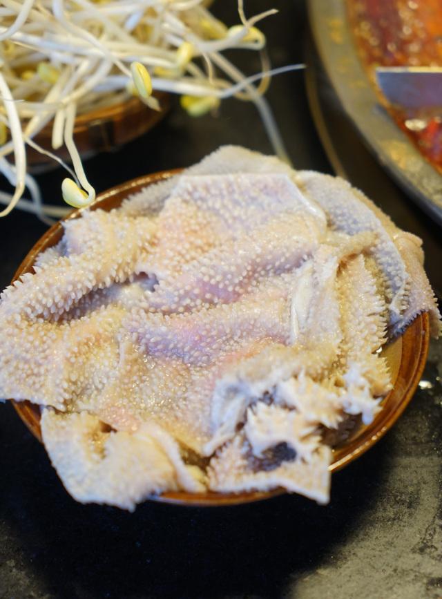 老同学洞子火锅加盟吗