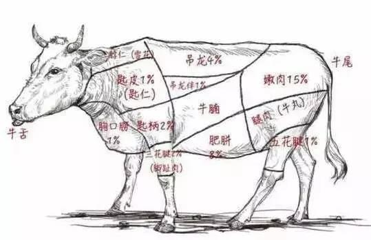 哈尔滨正宗潮州牛肉火锅加盟