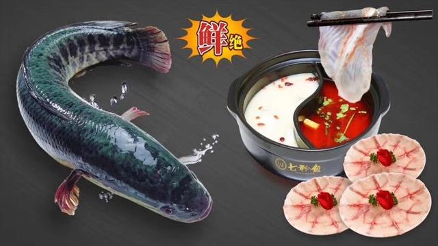 鱼火锅加盟连锁条件(特色鱼火锅的加盟条件) 鱼火锅加盟连锁条件