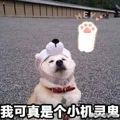 十八线小县城加盟奶茶