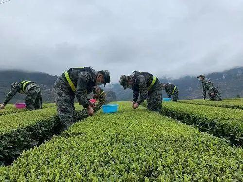 奶茶加盟原料为什么贵