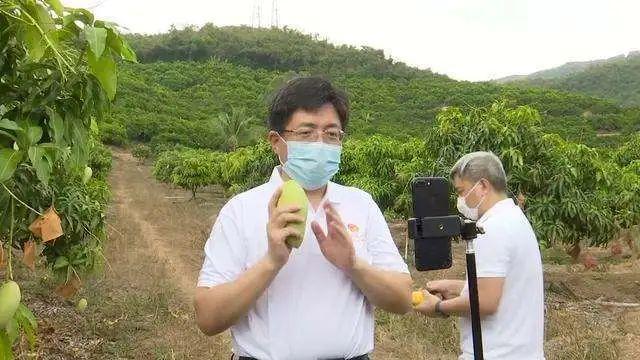 奶茶加盟原料为什么贵