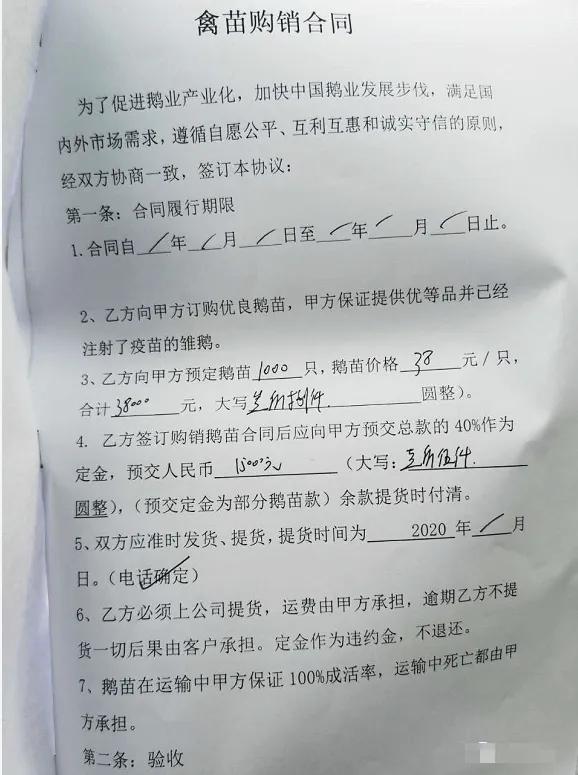 鹅火锅如何加盟骗局