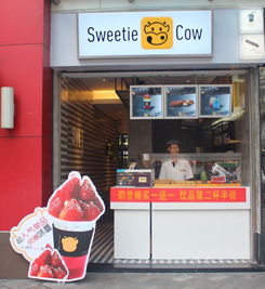 为什么现在没有避风塘奶茶店加盟