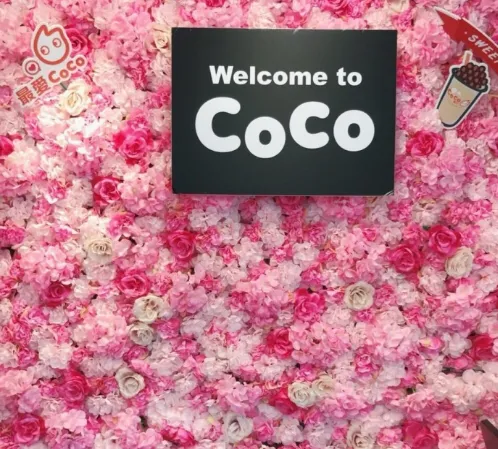 coco奶茶加盟钱