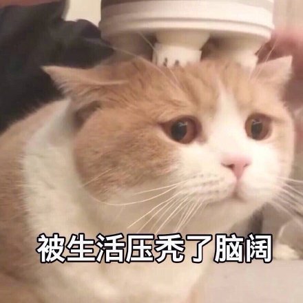 奶茶店要不要加盟经营