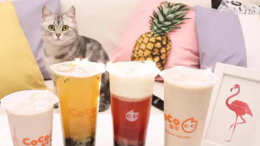 coco奶茶加盟费明细表6