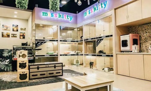 猫咖奶茶店加盟
