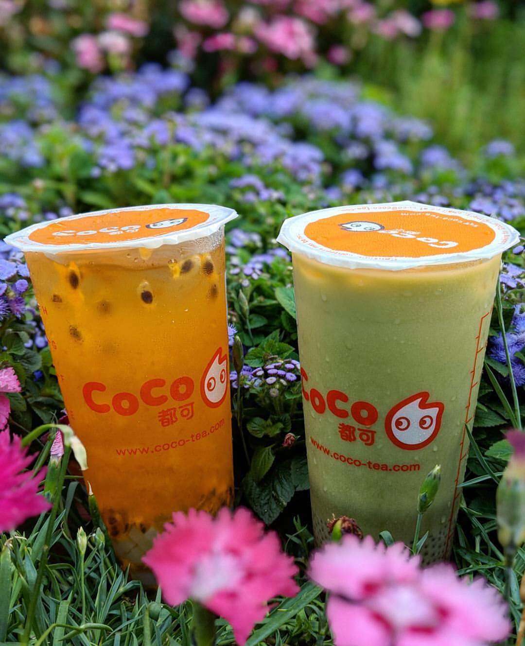 北京加盟coco奶茶利润