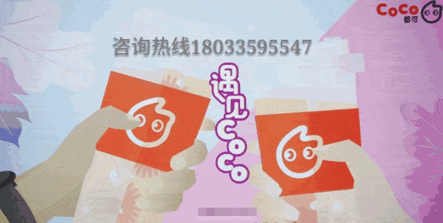 coco奶茶加盟费用钱